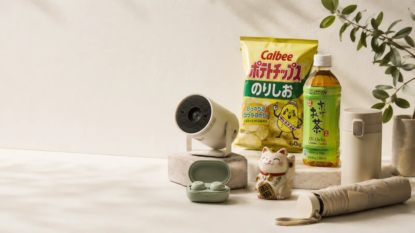 Catalogo Bamboo con productos curados para la rutina diaria